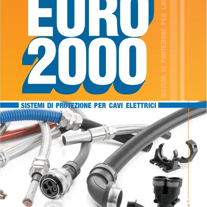 Euro2000PPNylon.jpg